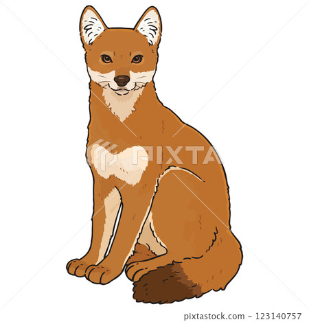 可愛的埃塞俄比亞狼圖 123140757