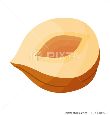 Half a hazelnut without shell, peeled nut cartoon trendy flat style isolated icon Half a hazelnut without shell, peeled nut cartoon trendy flat style isolated icon 123140922