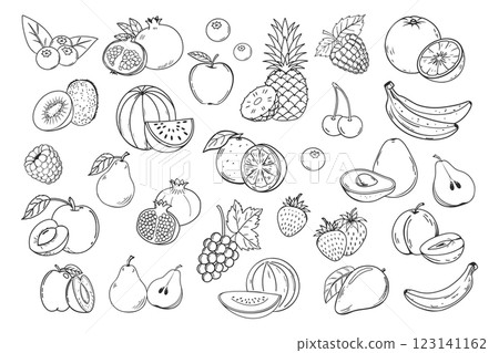 Sketch fruits and berries icons set. Collection of hand drawn farm product for restaurant menu, market label. Mango, blueberry, pineapple, apple and etc 123141162