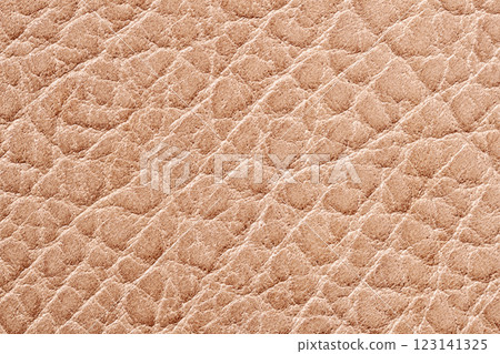 Close-up of textured beige leather surface with natural grain pattern perfect for background, upholstery, material design, craftsmanship concept Close-up of textured beige leather surface with natural grain pattern perfect for background, upholstery, material design, craftsmanship concept 123141325