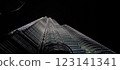 Petronas Twin Towers at night, popular landmark and touristic attraction in Kuala Lumpur, 123141341