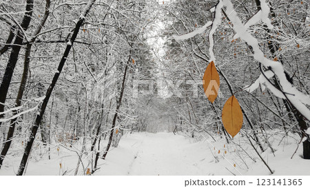 Yellow leaf on winter forest background 123141365