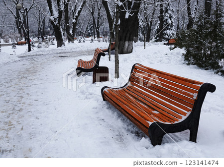 Bench in a winter park Kiev Ukraine Bench in a winter park Kiev Ukraine 123141474