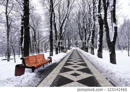 Winter park alley with benches in the afternoon                   123141498