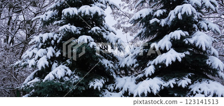 Winter Park Kiev Ukraine Winter Park Kiev Ukraine 123141513