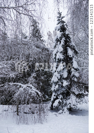 Winter Park Kiev Ukraine 123141515