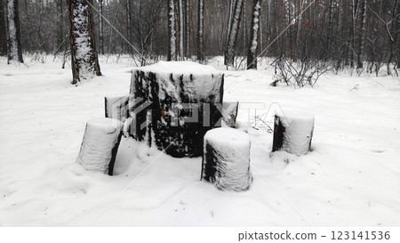 A table with stumps in the winter forest A table with stumps in the winter forest 123141536