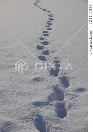 Human footprints in the snow 123141558