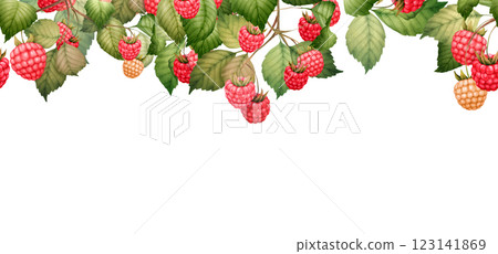 Raspberry seamless border with berries and leaves, hand-drawn botanical illustration Raspberry seamless border with berries and leaves, hand-drawn botanical illustration 123141869