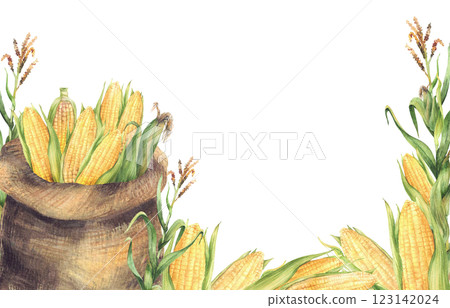 Corncobs sack with harvested maize cobs, corn green plant with yellow flowers rectangular frame. Canvas bag with farm harvest. Watercolor agricultural painted illustration. Isolated from background 123142024