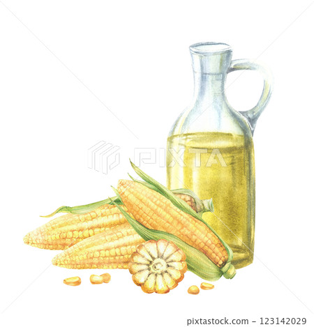 Glass bottle with corn oil. Fresh sweetcorn, maize cob with husk, whole, cut cobs and kernels. Food composition. Hand drawn watercolor illustration isolated from background for product label design. 123142029