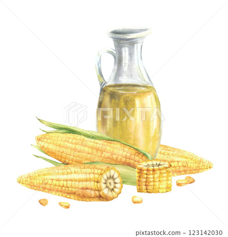 corn oil in a glass jar, bottle. Fresh sweetcorn, maize cob with husk, whole, cut cobs and kernels. Food composition. Hand drawn watercolor illustration isolated from background for product label 123142030