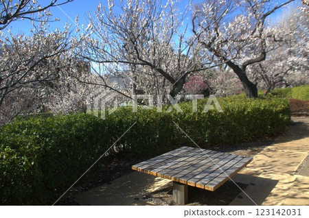 Haneki公園 123142031