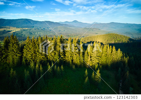 Aerial view of lush, green forest with tall pine trees basking in the golden sunlight. Rolling hills and distant mountains create stunning backdrop under clear blue sky with scattered clouds. Aerial view of lush, green forest with tall pine trees basking in the golden sunlight. Rolling hills and distant mountains create stunning backdrop under clear blue sky with scattered clouds. 123142303