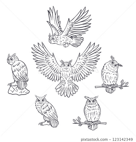 Set of hand drawn black and white line art eagle-owls sitting and flying 123142349