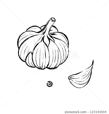 Vector Line Art Drawing of Garlic 123143034
