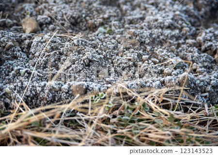 Frost-covered fallow land 123143523