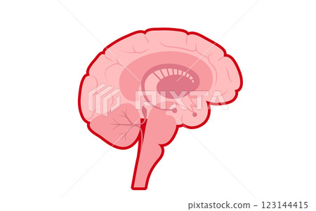 Meningitis medical poster 123144415