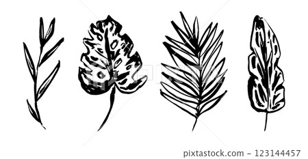 Set of grunge textured vector black ink hand dawning tropical leaves, fern, monstera leaf. Artistic paintbrush botanical elements for textile pattern design, greeting card, logo 123144457
