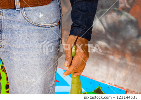 Tourist guide showing the importance of the agave plant for the antique cultures to a group of tourists at the Teotihuacan archaeological site. 123144533