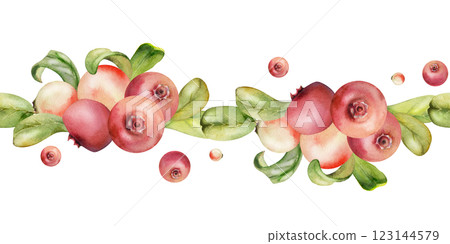 Cranberry lingonberry bunch, green leaves, hand drawn in watercolor, ripe swamp forest berry bearberry teaberry wintergreen. Isolated seamless banner border for restaurant, cafe menu, farmers market Cranberry lingonberry bunch, green leaves, hand drawn in watercolor, ripe swamp forest berry bearberry teaberry wintergreen. Isolated seamless banner border for restaurant, cafe menu, farmers market 123144579