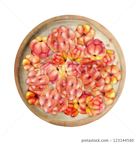 Cloudberry raspberry heap on ceramic plate, hand drawn in watercolor, ripe red Scandinavian forest berry. Isolated illustration. Restaurant, dessert cafe menu, home preserves, farmers market harvest 123144580