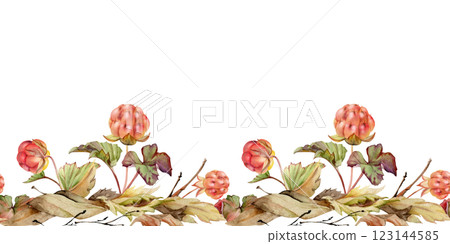 Cloudberry raspberry with autumn leaves, hand drawn in watercolor, forest berry in group clusters on stems. Seamless banner garland illustration, for restaurant, cafe menu, wedding, farmers market Cloudberry raspberry with autumn leaves, hand drawn in watercolor, forest berry in group clusters on stems. Seamless banner garland illustration, for restaurant, cafe menu, wedding, farmers market 123144585