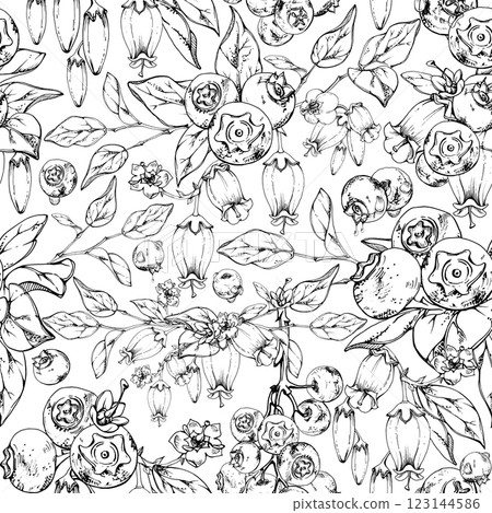 Blackberry blueberry with white bell flowers, plant leaves, hand drawn in ink vector, forest berry on branches. Seamless pattern garland illustration for restaurant, cafe menu, wedding, farmers market Blackberry blueberry with white bell flowers, plant leaves, hand drawn in ink vector, forest berry on branches. Seamless pattern garland illustration for restaurant, cafe menu, wedding, farmers market 123144586