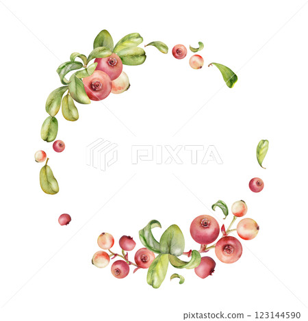 Cranberry lingonberry on branch, green leaves, ripe berry wintergreen teaberry bearberry cluster group, hand drawn in watercolor. Isolated circle wreath frame. Farmers market, recipe book, cafe menu Cranberry lingonberry on branch, green leaves, ripe berry wintergreen teaberry bearberry cluster group, hand drawn in watercolor. Isolated circle wreath frame. Farmers market, recipe book, cafe menu 123144590