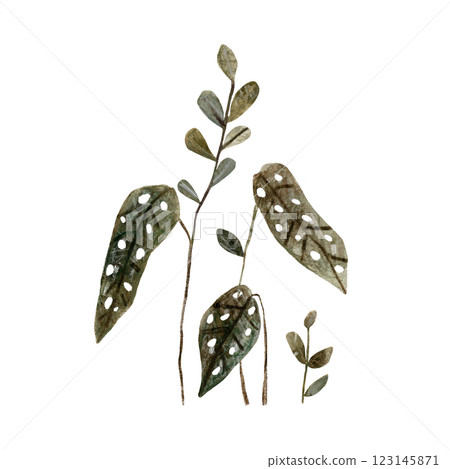 Set of simple green leaves in earthy colors. Watercolor and pencil hand drawn isolated illustrations. Clipart botanical elements 123145871