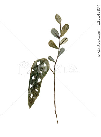 Set of simple green leaves in earthy colors. Watercolor and pencil hand drawn isolated illustrations. Clipart botanical elements 123145874