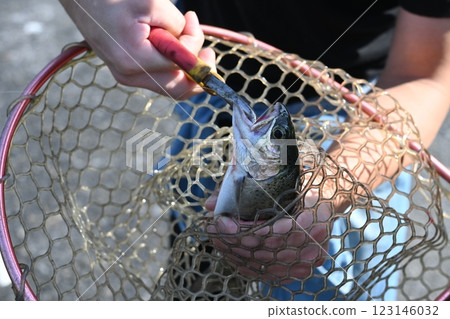 Catch the caught fish with a net Catch the caught fish with a net 123146032