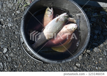 Fish you fished Fish you fished 123146034