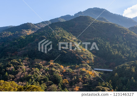 Autumn in the Yakushima Offshore Alps (November) Mountains and autumn leaves shining in the evening light 123146327