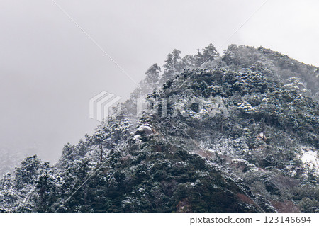 屋久島：海上神秘迷人的阿爾卑斯山（冬季） 123146694