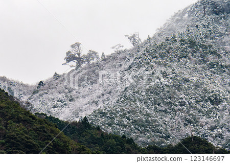 Early winter (December) in the Yakushima Offshore Alps: Fantastic snow scenery near the summit 123146697