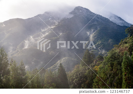 Yakushima Offshore Alps: Snow-capped mountains and cedars (winter) Yakushima Offshore Alps: Snow-capped mountains and cedars (winter) 123146737