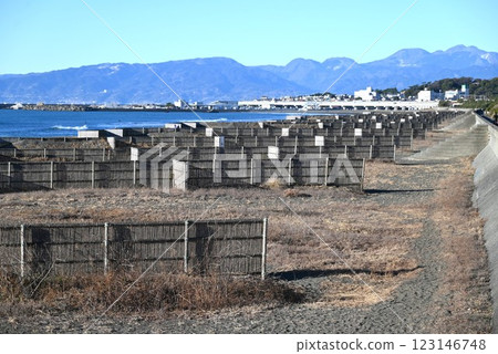 Bamboo sand fence on the beach - background material for environmental issues Bamboo sand fence on the beach - background material for environmental issues 123146748
