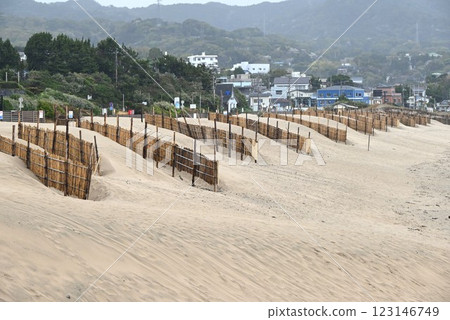 Bamboo sand fence on the beach - background material for environmental issues Bamboo sand fence on the beach - background material for environmental issues 123146749