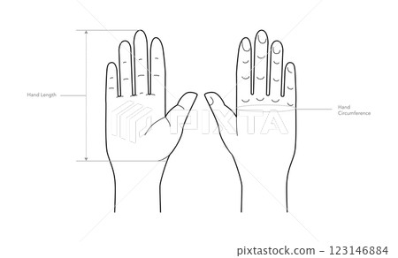 Diagram of measuring hands for Gloves, mittens, mitts Fashion accessory clothing technical illustration. Vector for Men 123146884