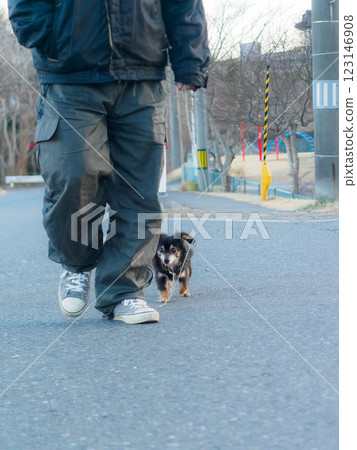 在公園和人行道上遛狗 在公園和人行道上遛狗 123146908