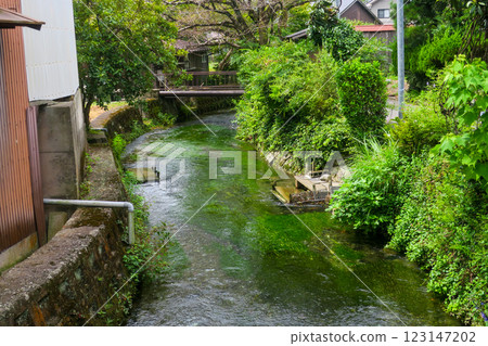 滋賀/中山道 酒井宿 伊清之清水/梅鴨茂 滋賀/中山道 酒井宿 伊清之清水/梅鴨茂 123147202