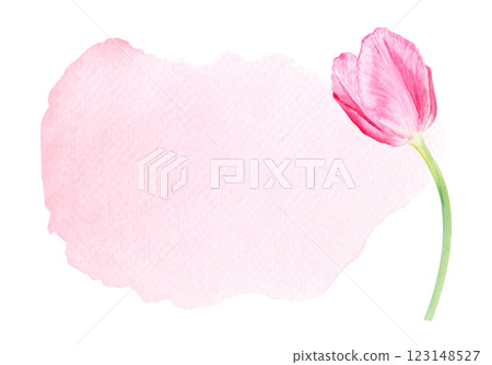 Tulip watercolor horizontal card isolated on white. Hand painted delicate pink spring flower, eco design. High quality clip art perfect for mother's day, women's day cards, albums, banners, decor 123148527