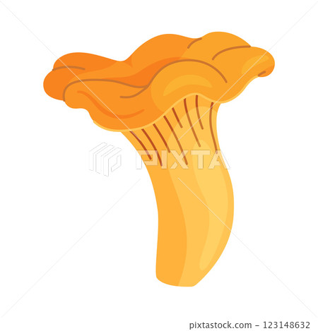 Fresh chanterelle mushroom Hand drawn flat style isolated Edible mushroom 123148632