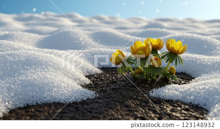 Spring thaw and ambrosia flowers 123148932