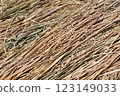 Rice 123149033