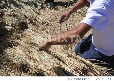 Rice harvesting work Rice harvesting work 123149034