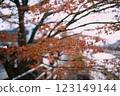 japan autumn maple red leaves scenery plants 123149144
