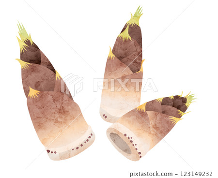 Bamboo shoot watercolor vector illustration 123149232