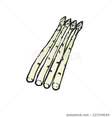 White asparagus hand-drawn illustration 123149284